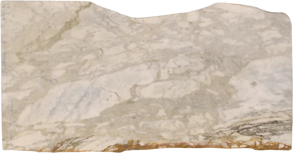BL24232-005
